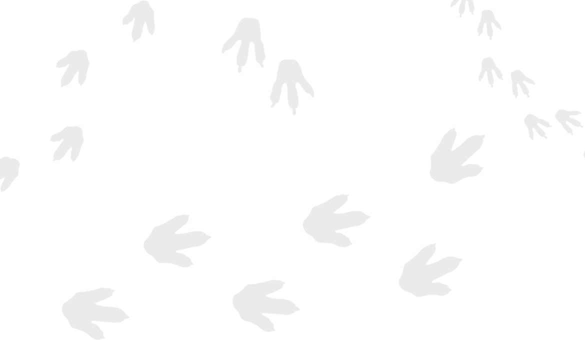 footprintspng3.png